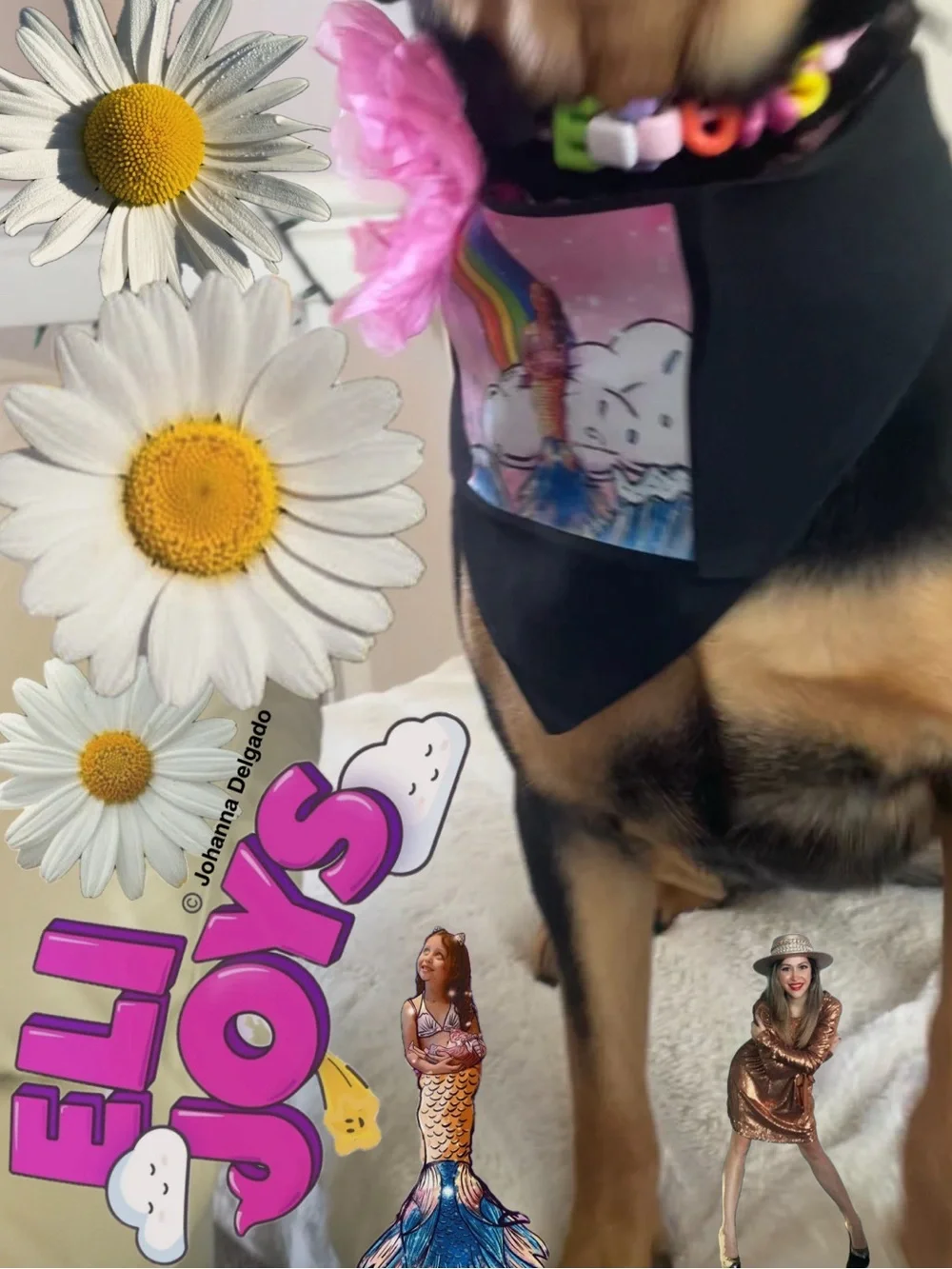 ELIJOYS - Black Dog Bandana with Mermaid Princess ©️JD Accent